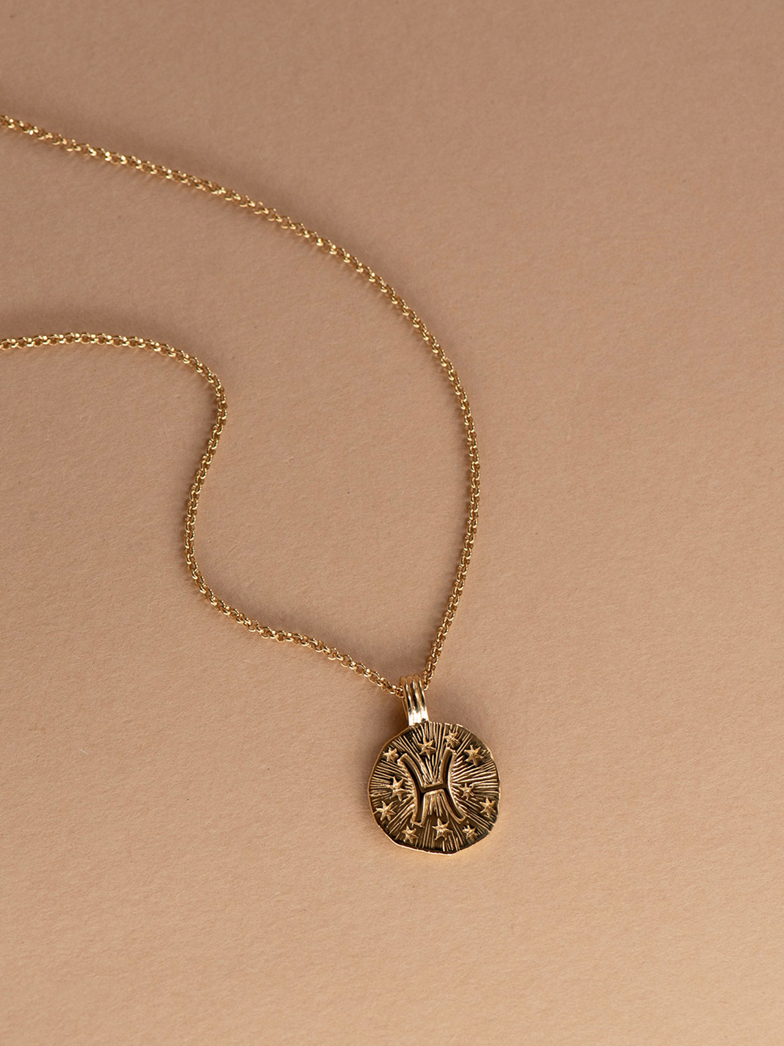 Sun in pisces necklace - 22k gold vermeil